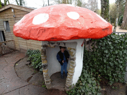 Max in a mushroom house at BestZoo