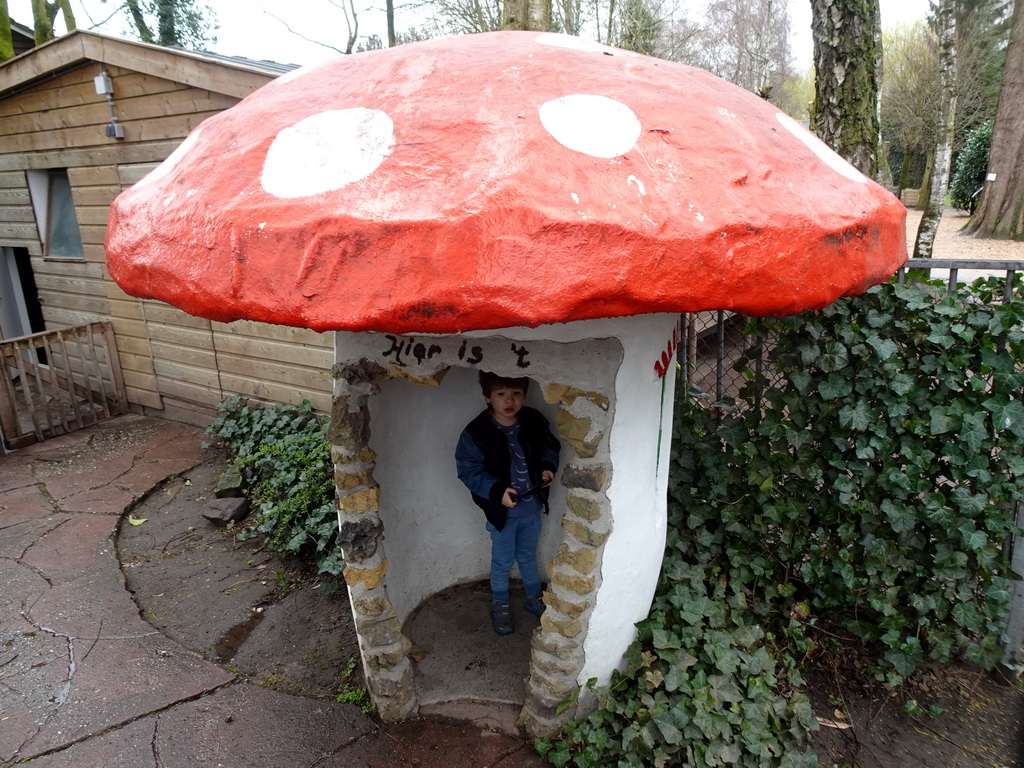 Max in a mushroom house at BestZoo