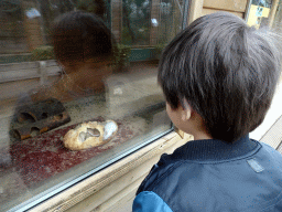 Max with Mice in a loaf of bread at BestZoo