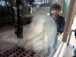 Max with a Southern Tamandua at BestZoo