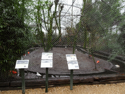 Aviary at BestZoo