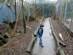 Max at an Aviary at BestZoo