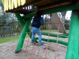 Max at the playground at BestZoo