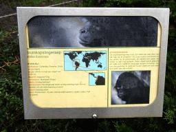 Explanation on the Black-headed Spider Monkey at BestZoo