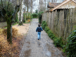 Max at BestZoo