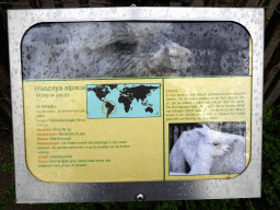 Explanation on the Alpaca at BestZoo
