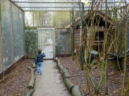 Max at an Aviary at BestZoo