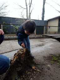 Max at BestZoo