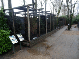 Bird cages at BestZoo