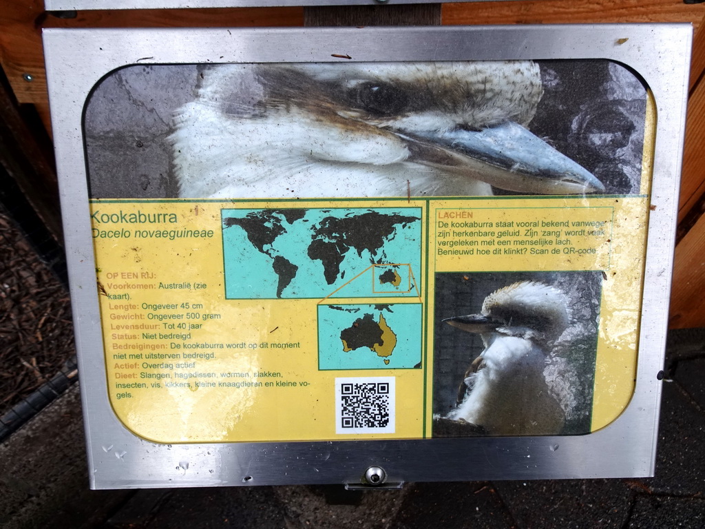 Explanation on the Laughing Kookaburra at BestZoo