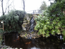 Waterfall near the entrance to BestZoo