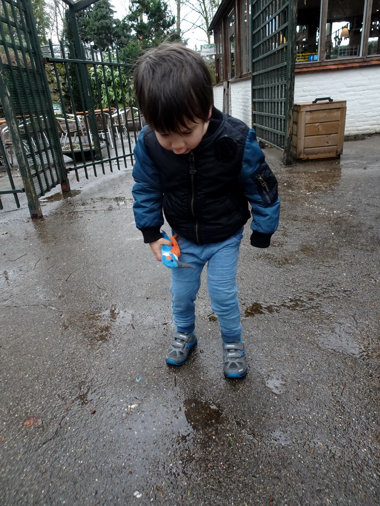 Max with a Kingfisher toy in front of the entrance to BestZoo