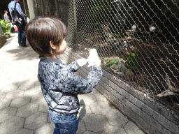 Max with a Snowy Owl toy and a Snowy Owl at BestZoo