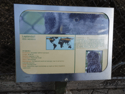 Explanation on the Great Grey Owl at BestZoo