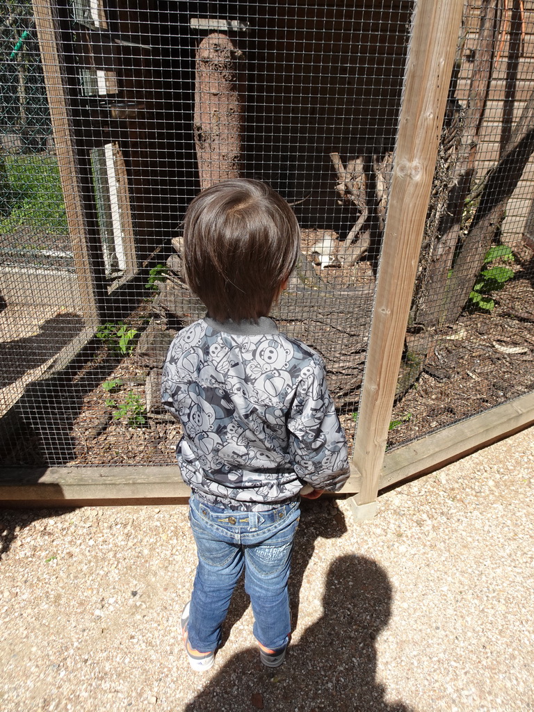 Max with a Japanese Squirrel at BestZoo