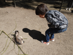 Max with a young Goat at BestZoo