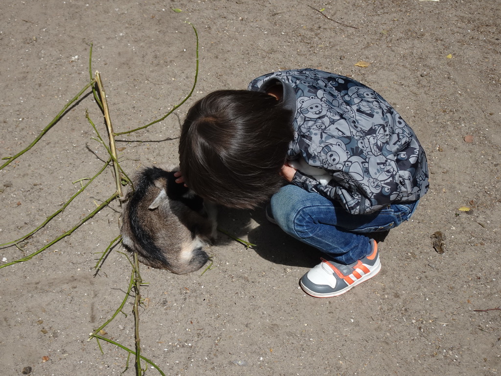 Max with a young Goat at BestZoo