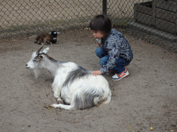 Max with Goats at BestZoo