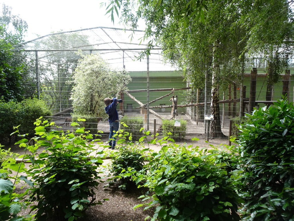 Sri Lankan Leopard at BestZoo