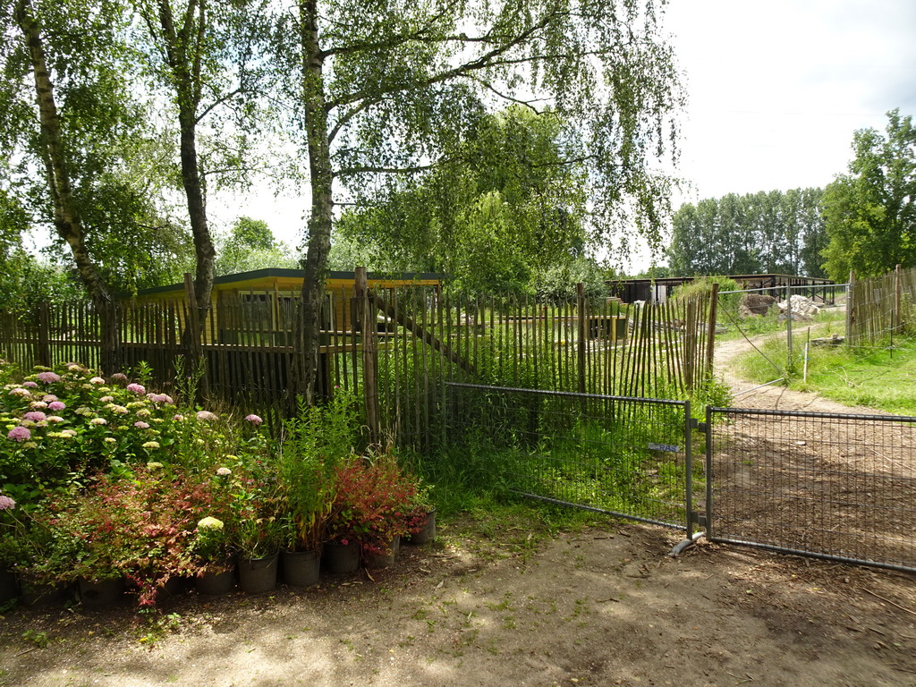 New buildings at BestZoo, under construction