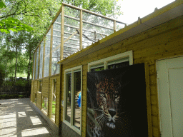 Enclosures of the Serval and the Fossa at BestZoo