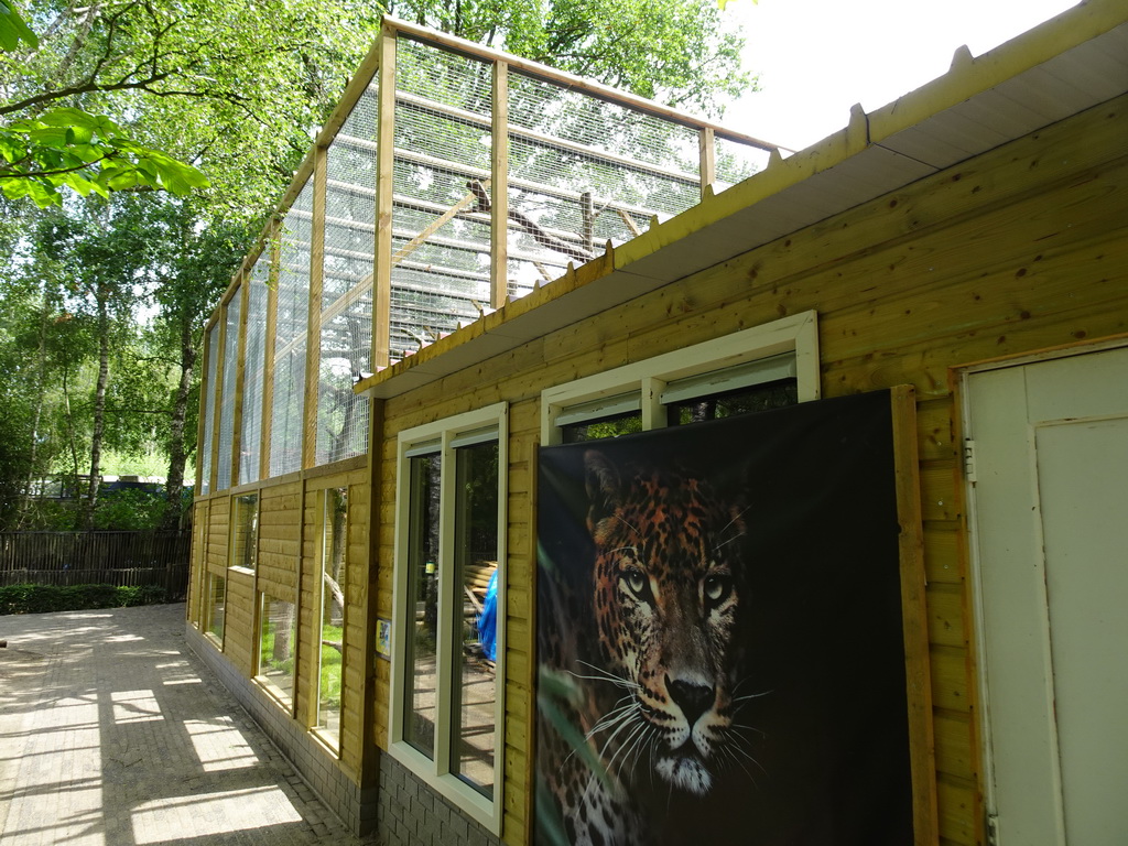 Enclosures of the Serval and the Fossa at BestZoo