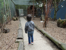 Max at an Aviary at BestZoo