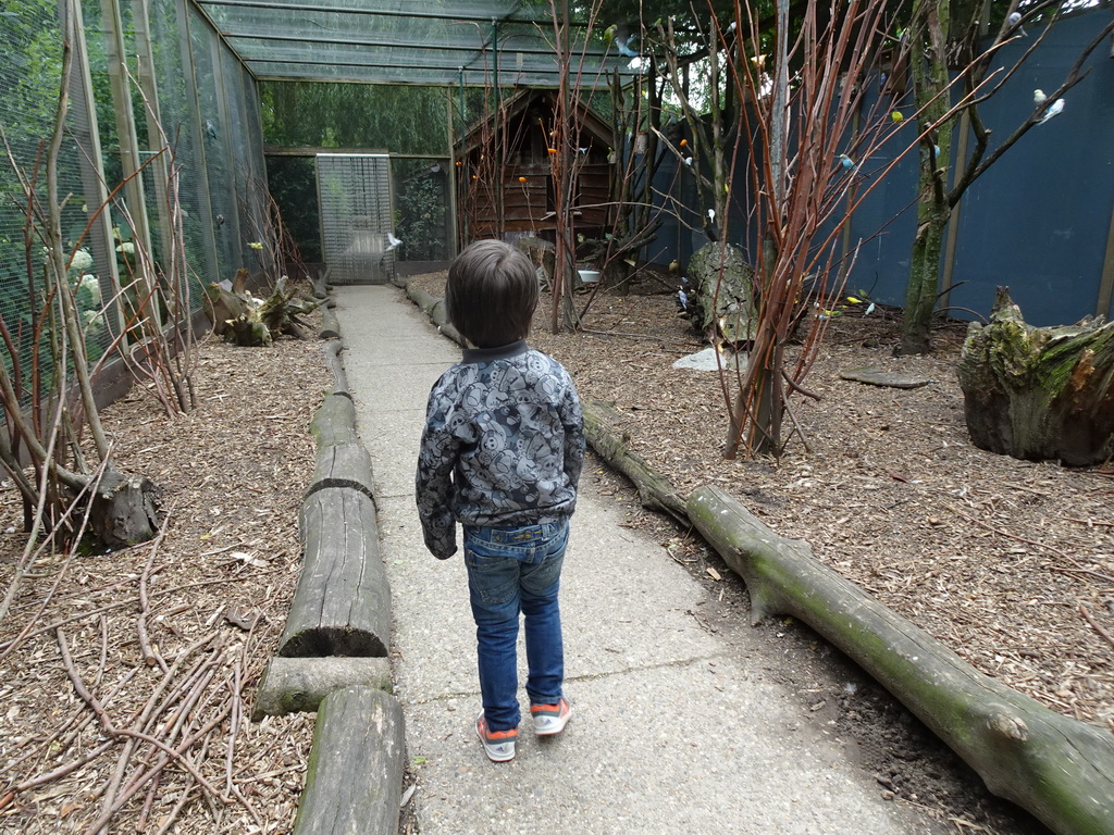 Max at an Aviary at BestZoo