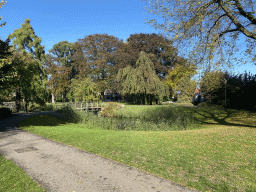 Pond with bridge at the Koetshuistuin garden