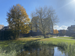 Pond and trees at the Koetshuistuin garden, viewed from the bridge