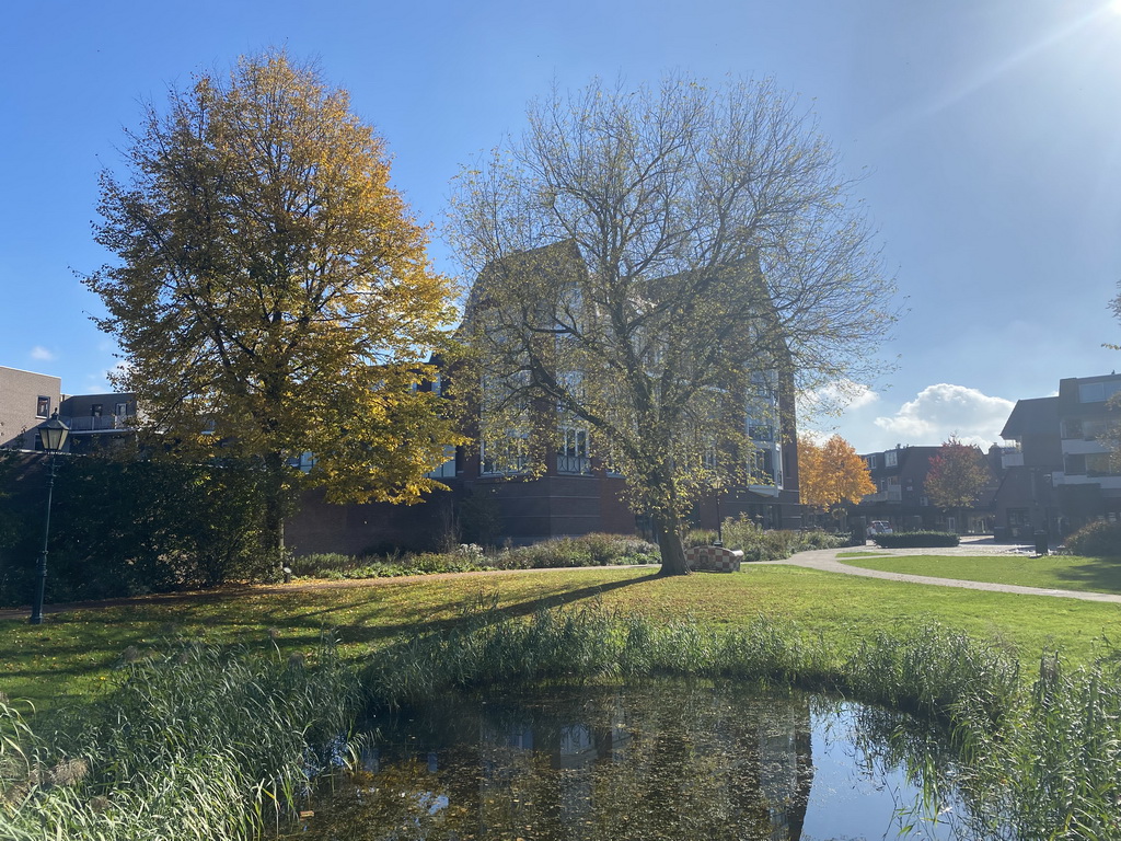 Pond and trees at the Koetshuistuin garden, viewed from the bridge