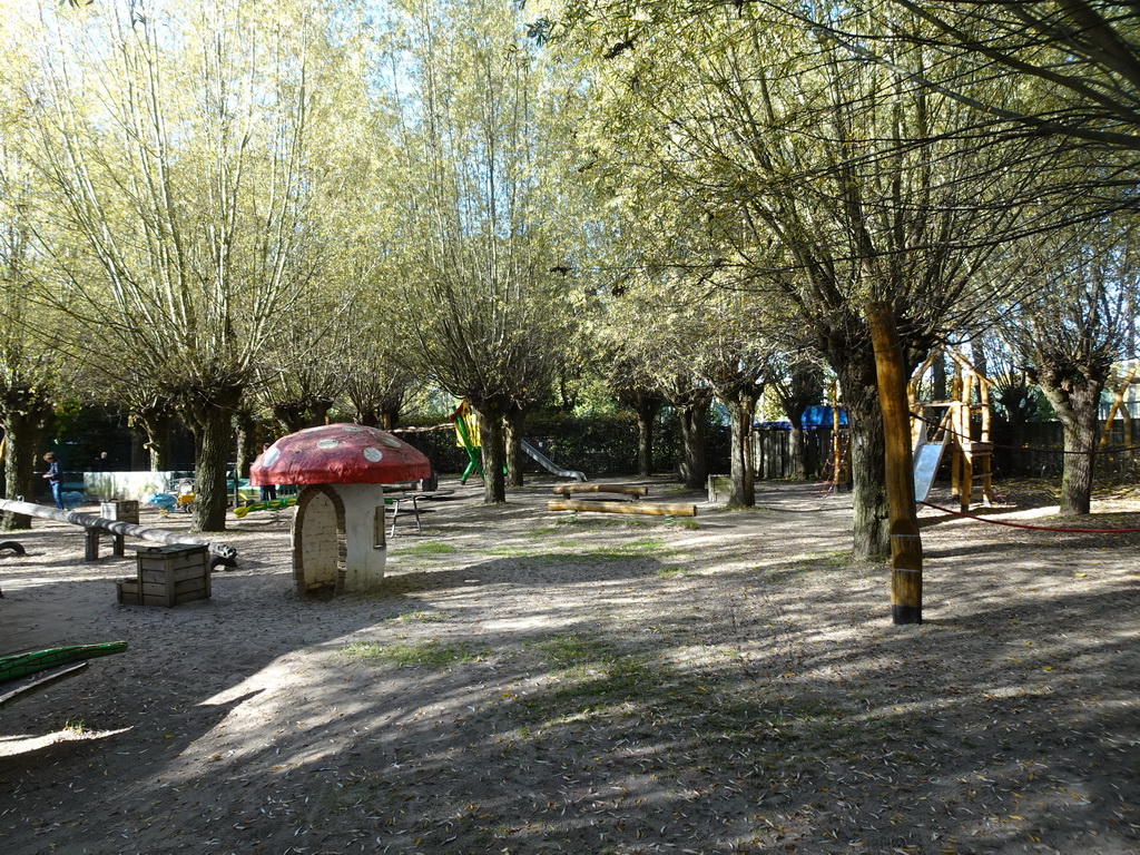 Playground at BestZoo