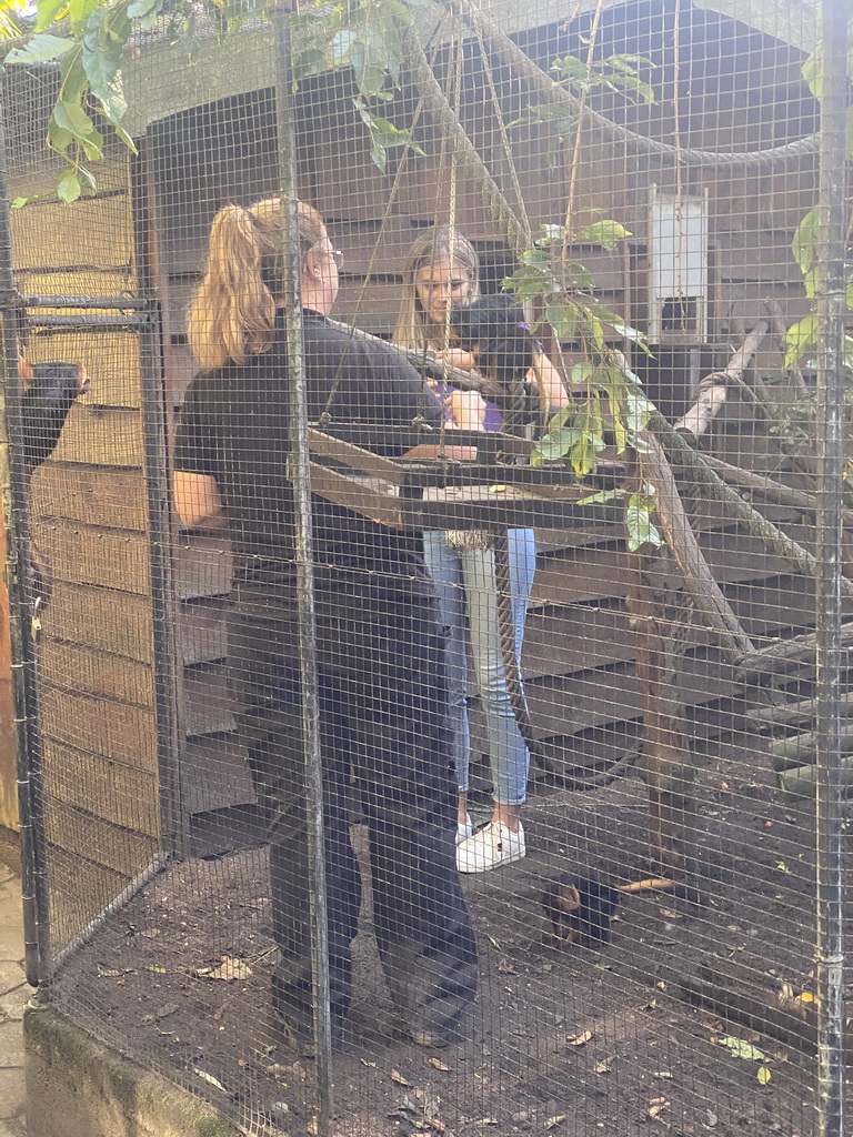 Zookeeper and youtuber with Golden-headed Lion Tamarins at BestZoo