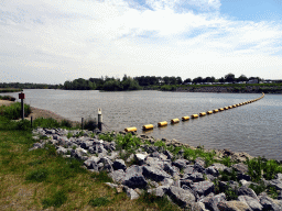 The Gat van den Kleinen Hil lake, viewed from the northern parking lot of the Biesbosch MuseumEiland