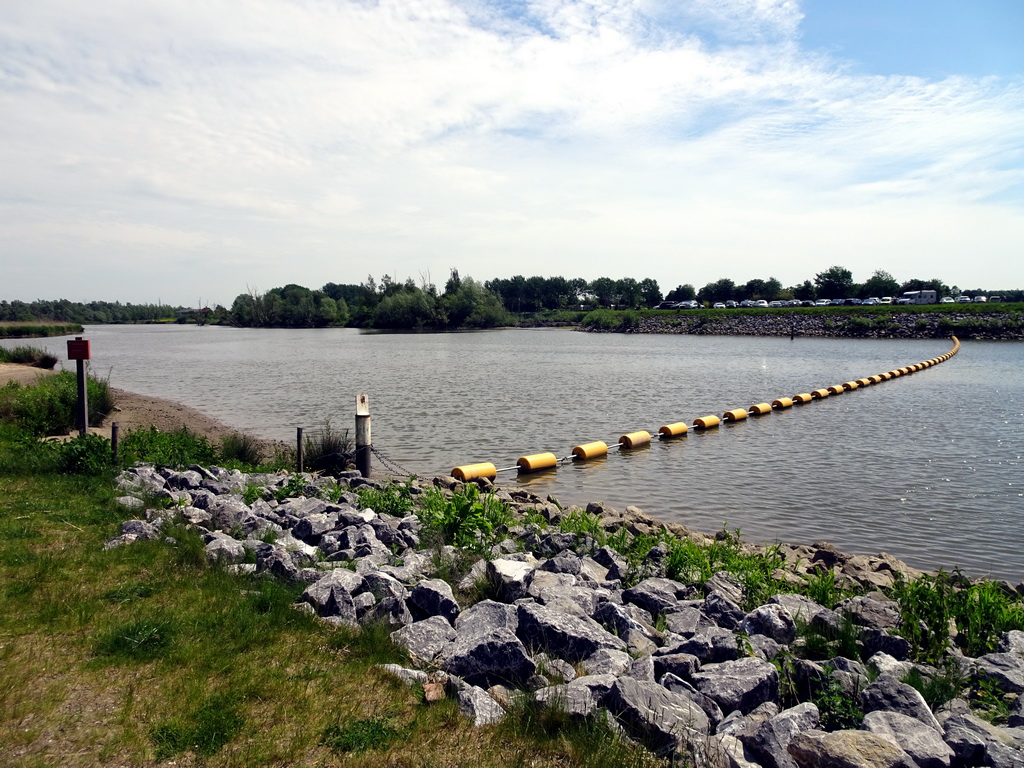 The Gat van den Kleinen Hil lake, viewed from the northern parking lot of the Biesbosch MuseumEiland