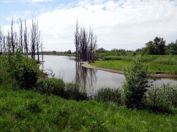 The Jantjesplaat polder, viewed from the parking lot at the Deeneplaatweg street