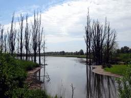 The Jantjesplaat polder, viewed from the parking lot at the Deeneplaatweg street