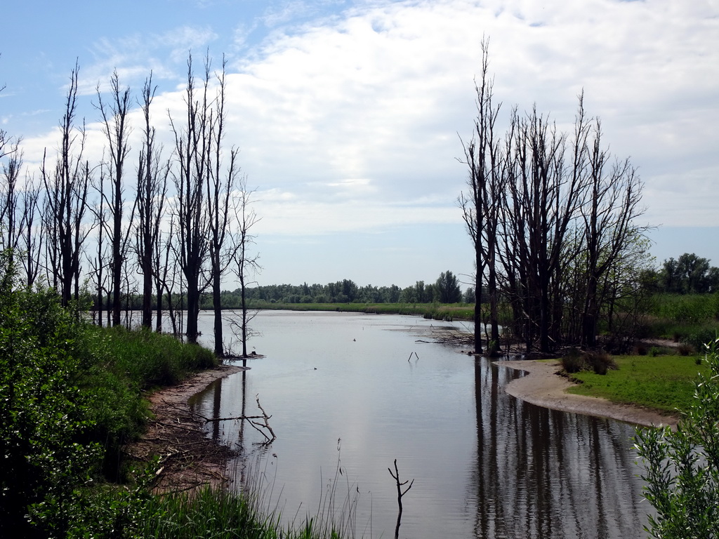 The Jantjesplaat polder, viewed from the parking lot at the Deeneplaatweg street