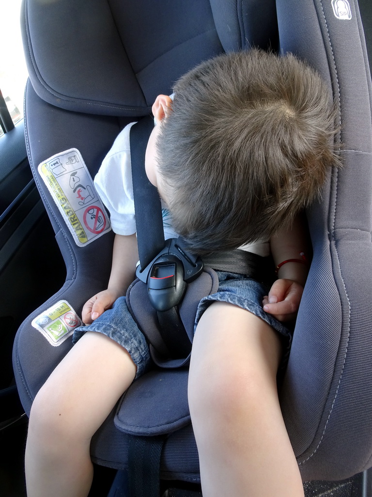 Max sleeping in the car at the main parking lot of the Biesbosch MuseumEiland