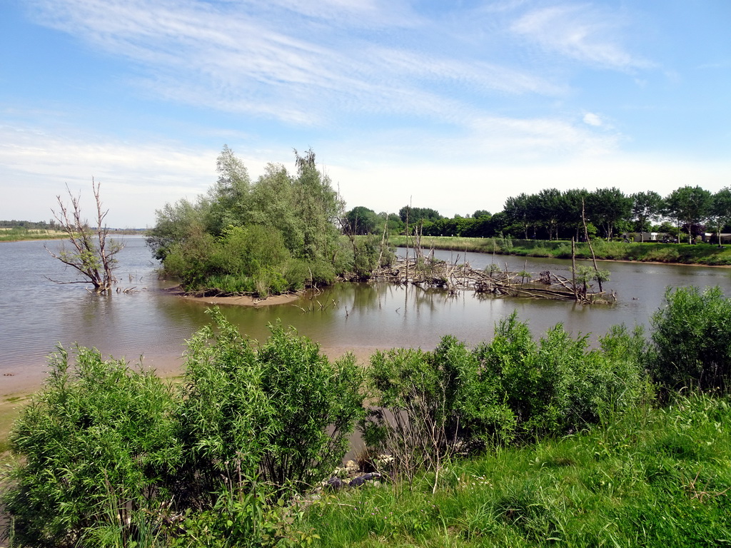 The Gat van den Kleinen Hil lake, viewed from the main parking lot of the Biesbosch MuseumEiland