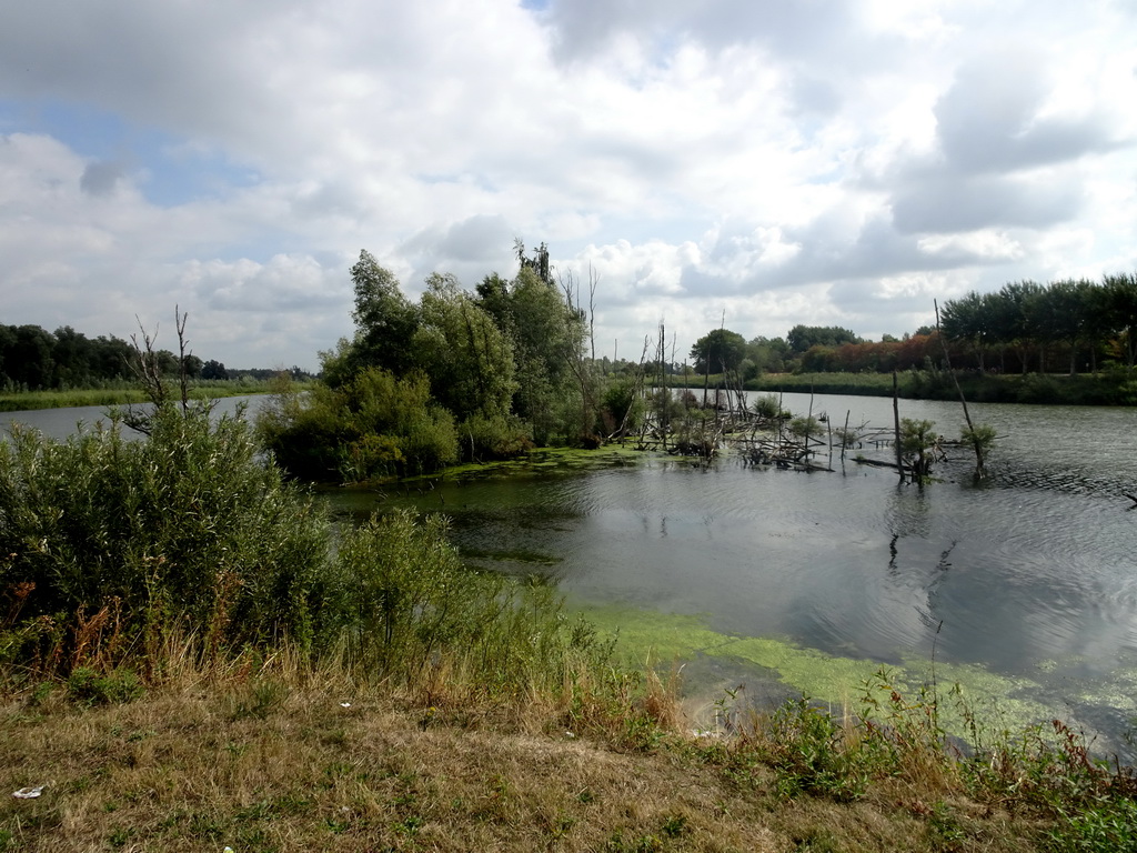 The Gat van den Kleinen Hil lake, viewed from the main parking lot of the Biesbosch MuseumEiland