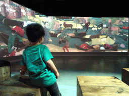 Max watching an animation movie at the Biesbosch MuseumEiland