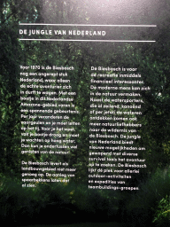 Information on `the Jungle of the Netherlands` at the Biesbosch MuseumEiland