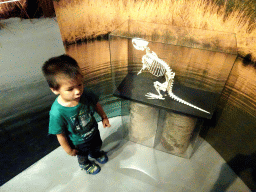 Max with a Beaver skeleton at the Biesbosch MuseumEiland