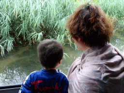 Miaomiao and Max looking at fish in the Sloot Beneden Petrus creek, viewed from the Fluistertocht tour boat