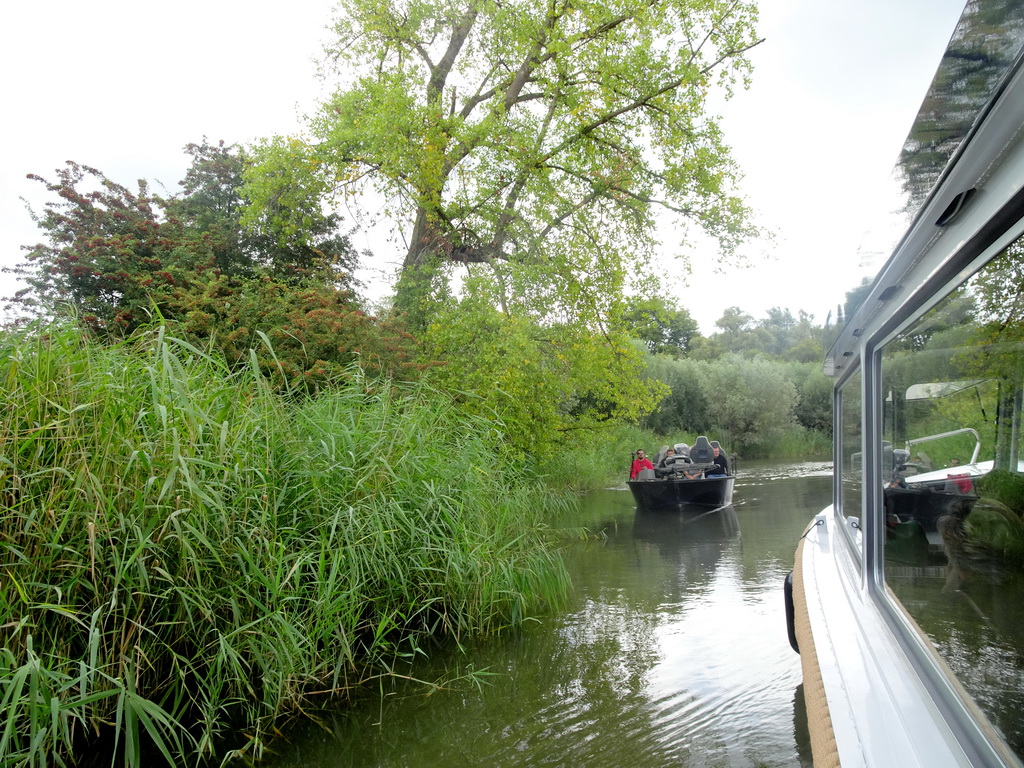 Boat on the Sloot Beneden Petrus creek, viewed from the Fluistertocht tour boat