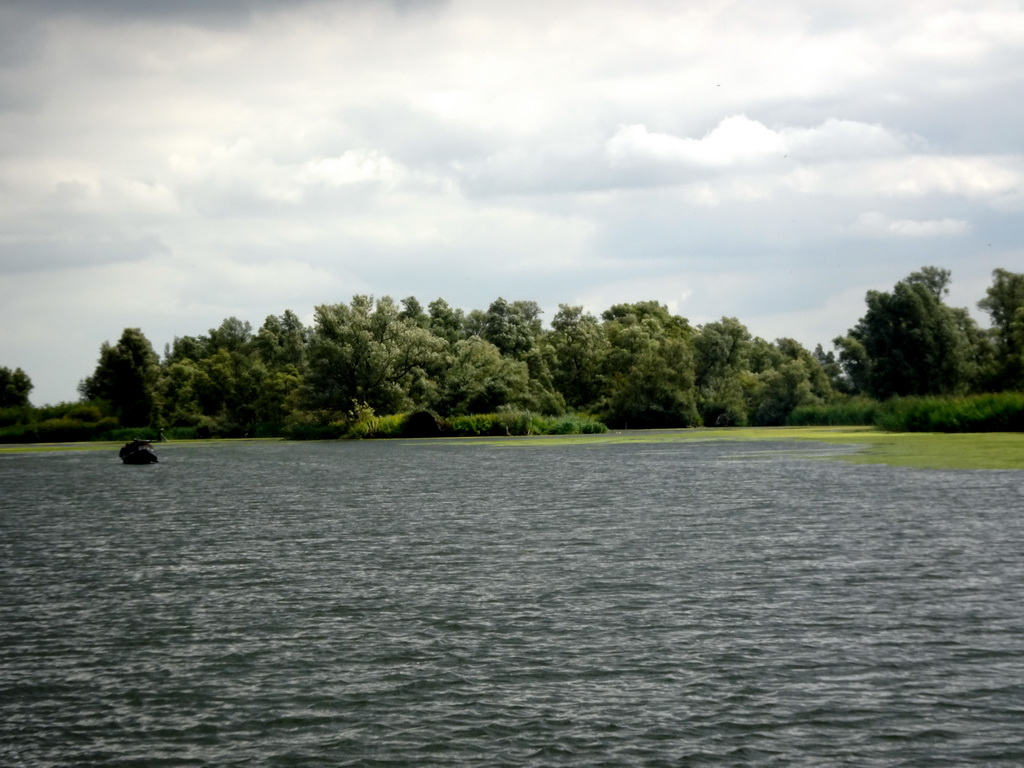 Boat on the Gat van de Buisjes lake, viewed from the Fluistertocht tour boat