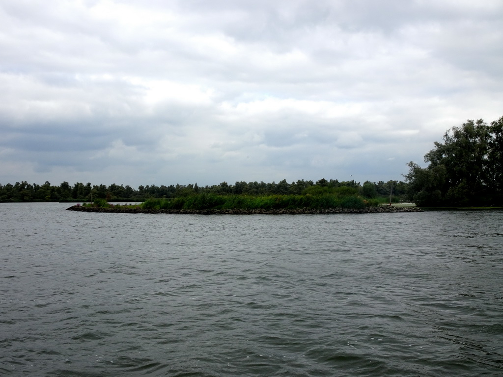 Trees and plants along the Gat van de Buisjes lake, viewed from the Fluistertocht tour boat