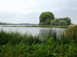 The Brabantse Oever side of the Nieuwe Merwede canal