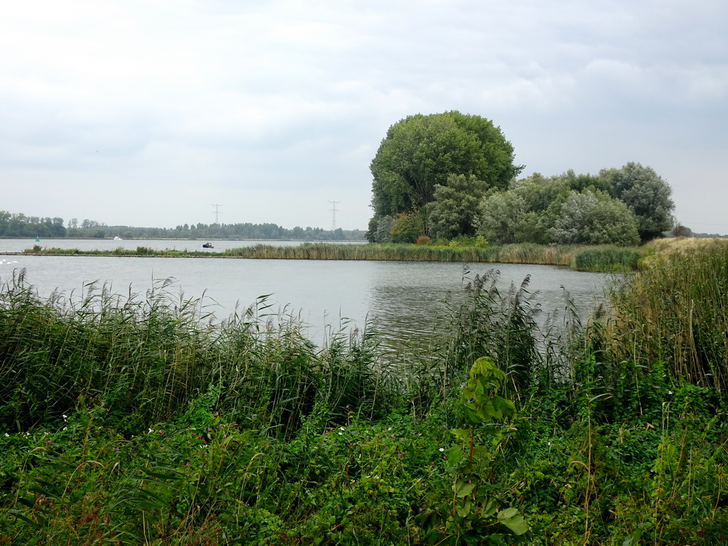 The Brabantse Oever side of the Nieuwe Merwede canal